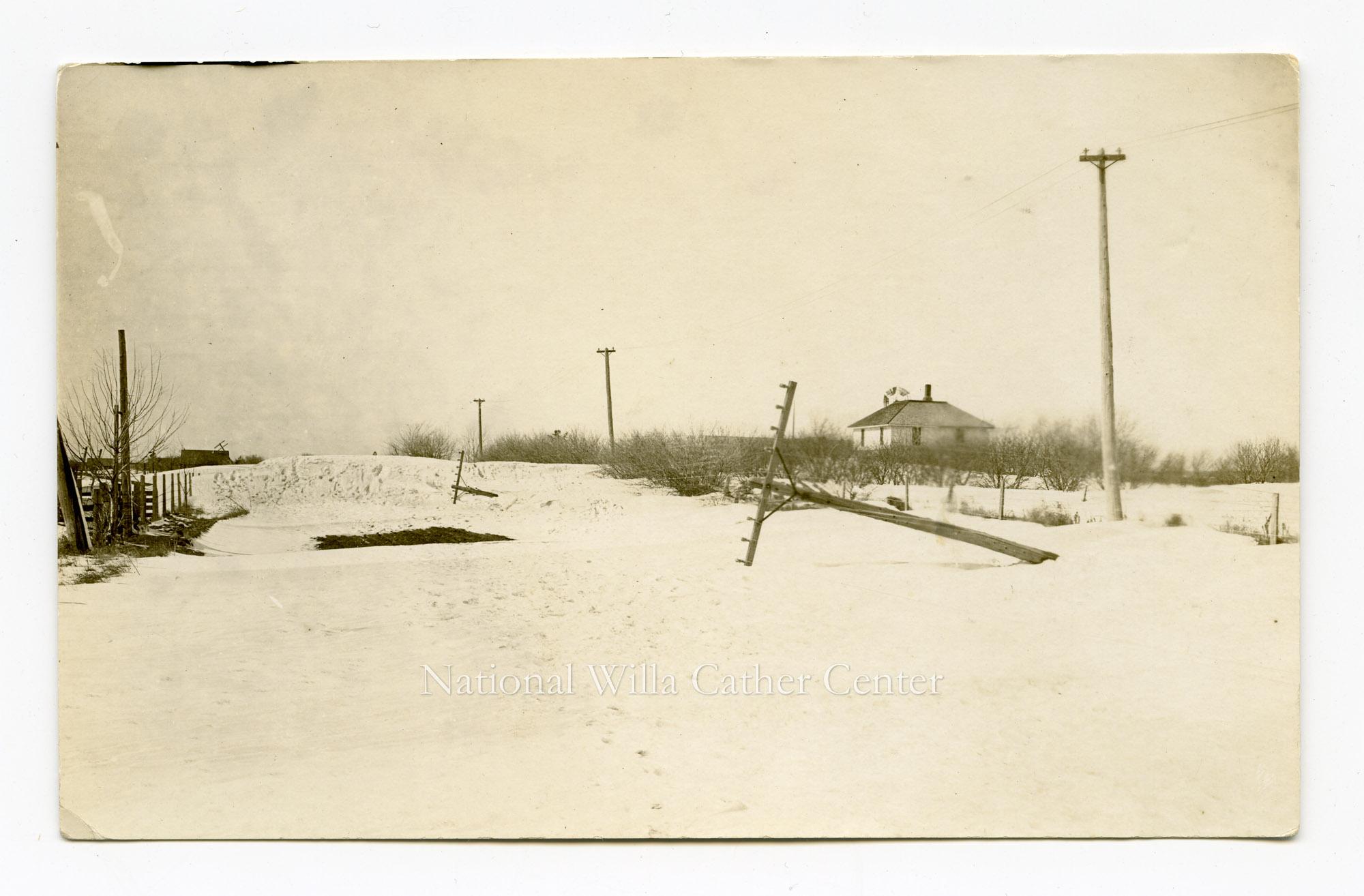 Image description is not available for PHO-264-651