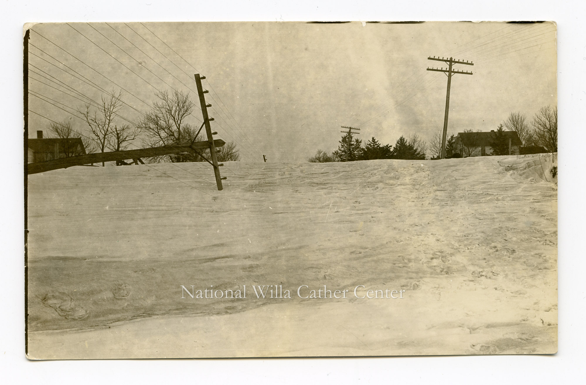 Image description is not available for PHO-264-653