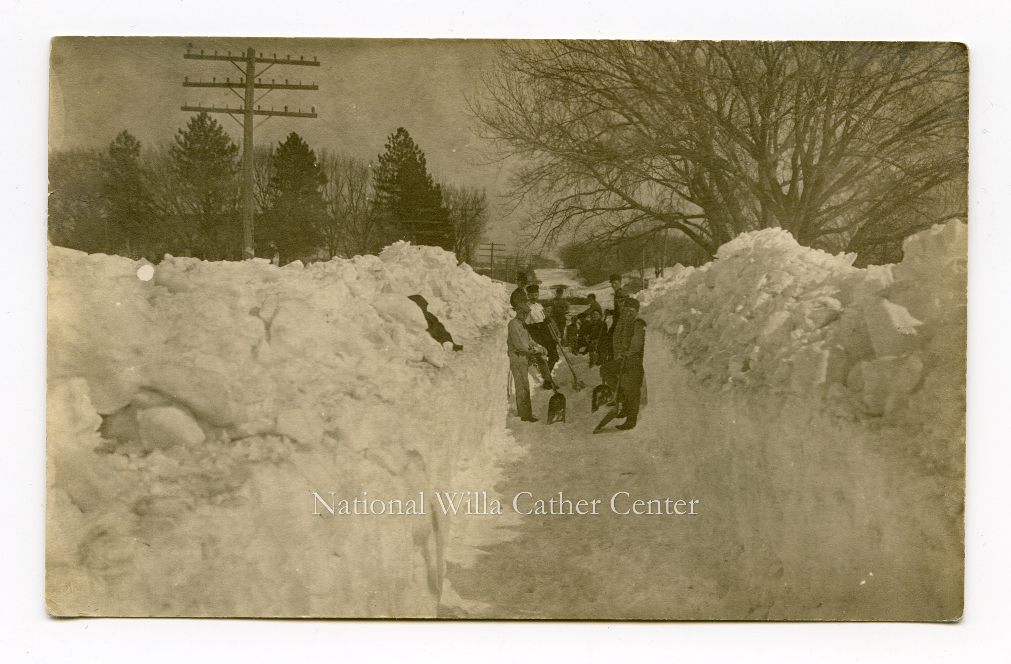 Image description is not available for PHO-264-656