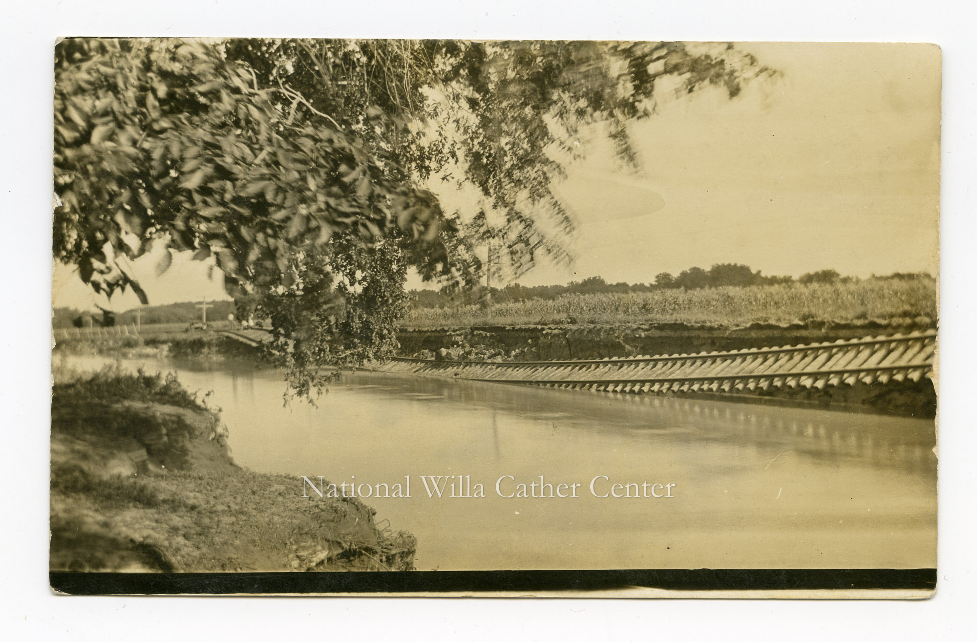 Image description is not available for PHO-264-685