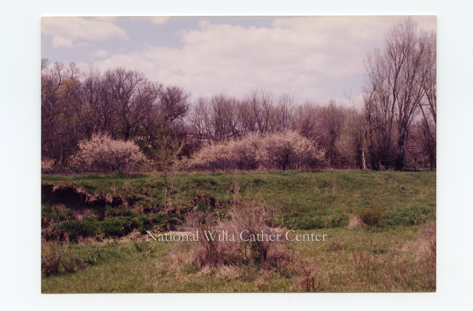 Image description is not available for PHO-264-690