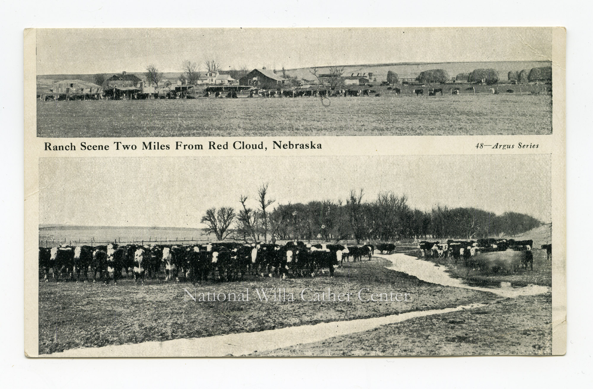 Image description is not available for PHO-264-706