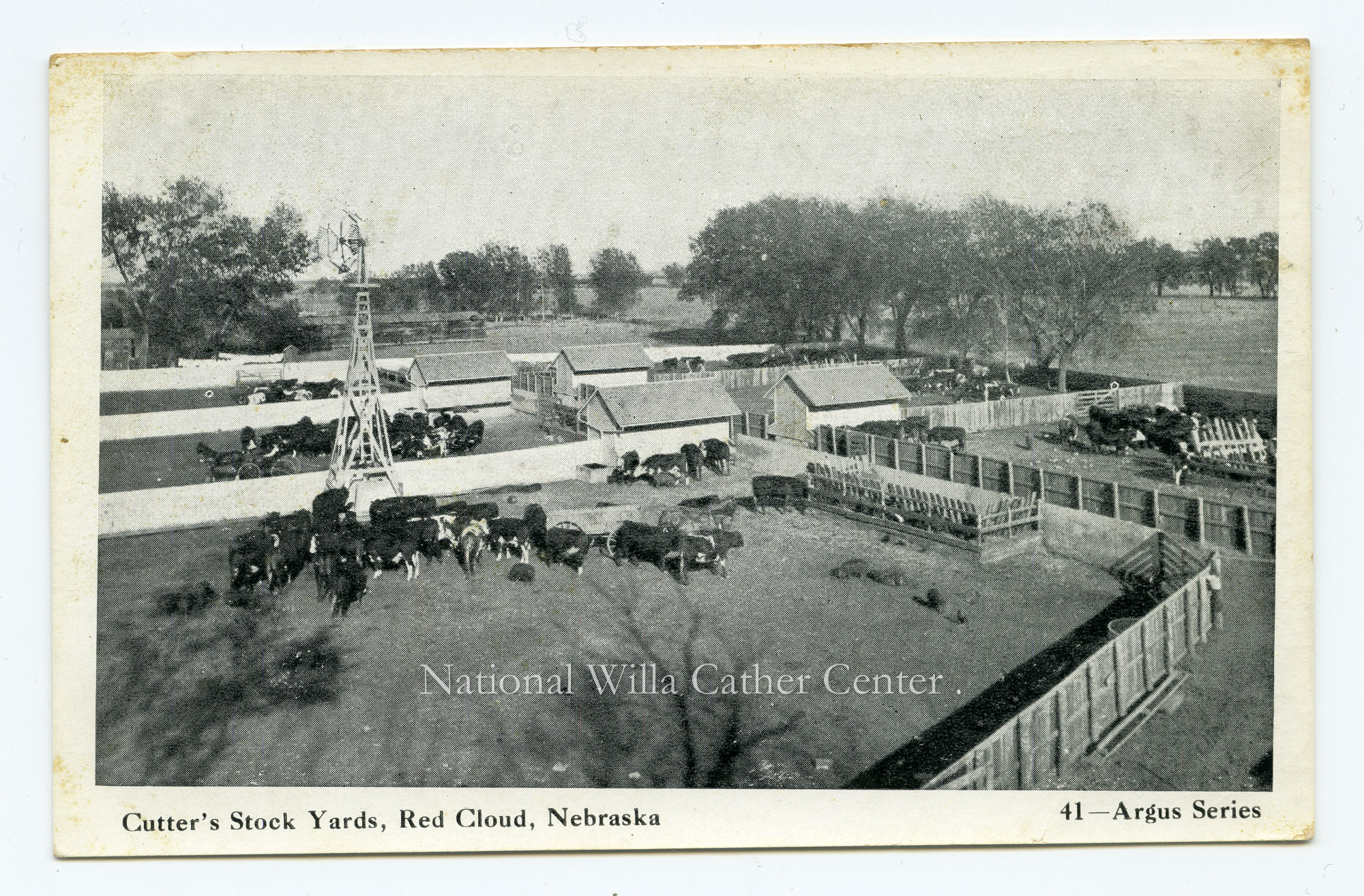 Image description is not available for PHO-264-708