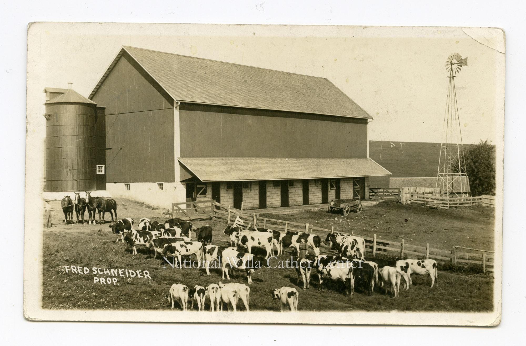 Image description is not available for PHO-264-709