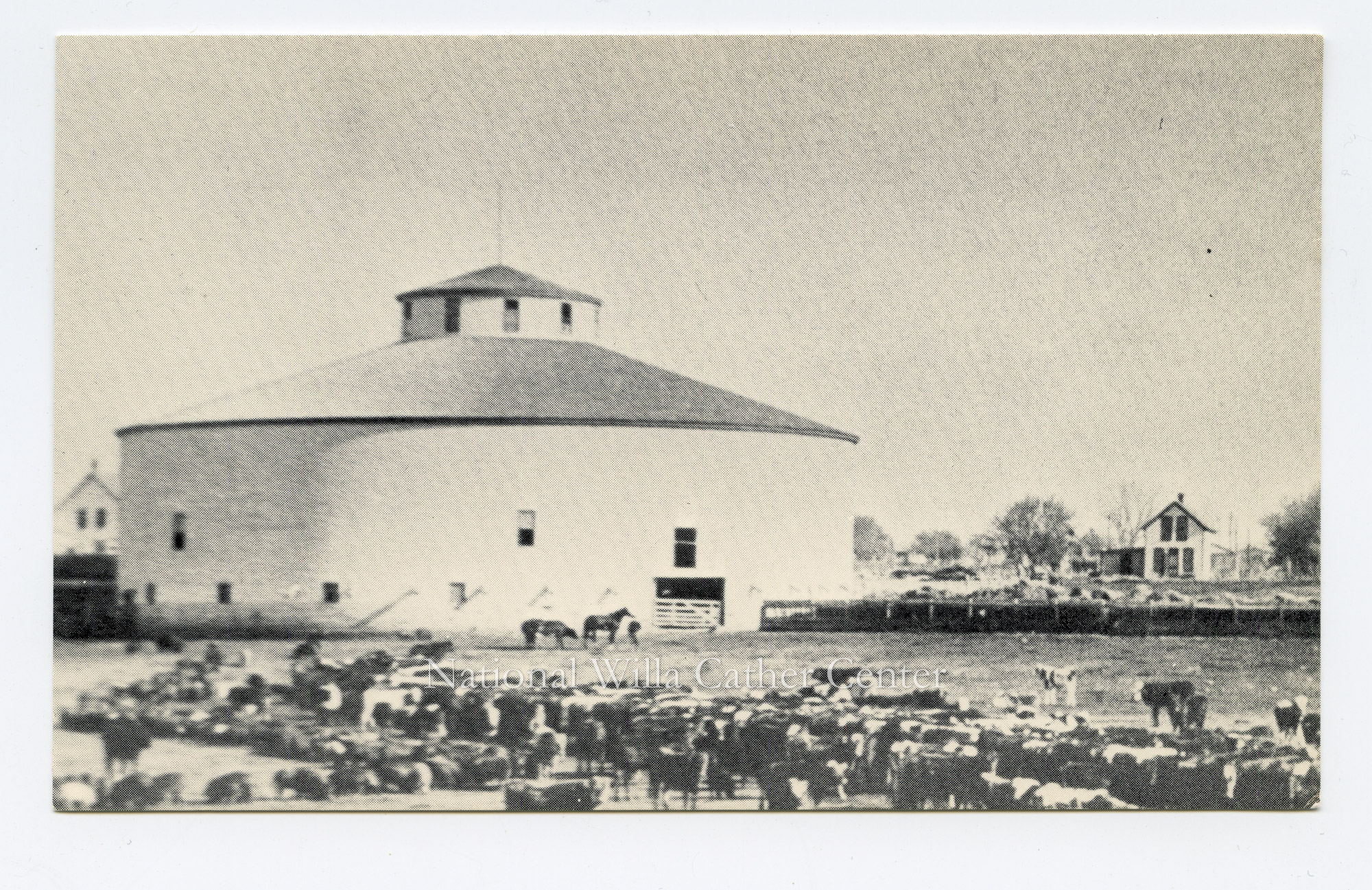 Image description is not available for PHO-264-732