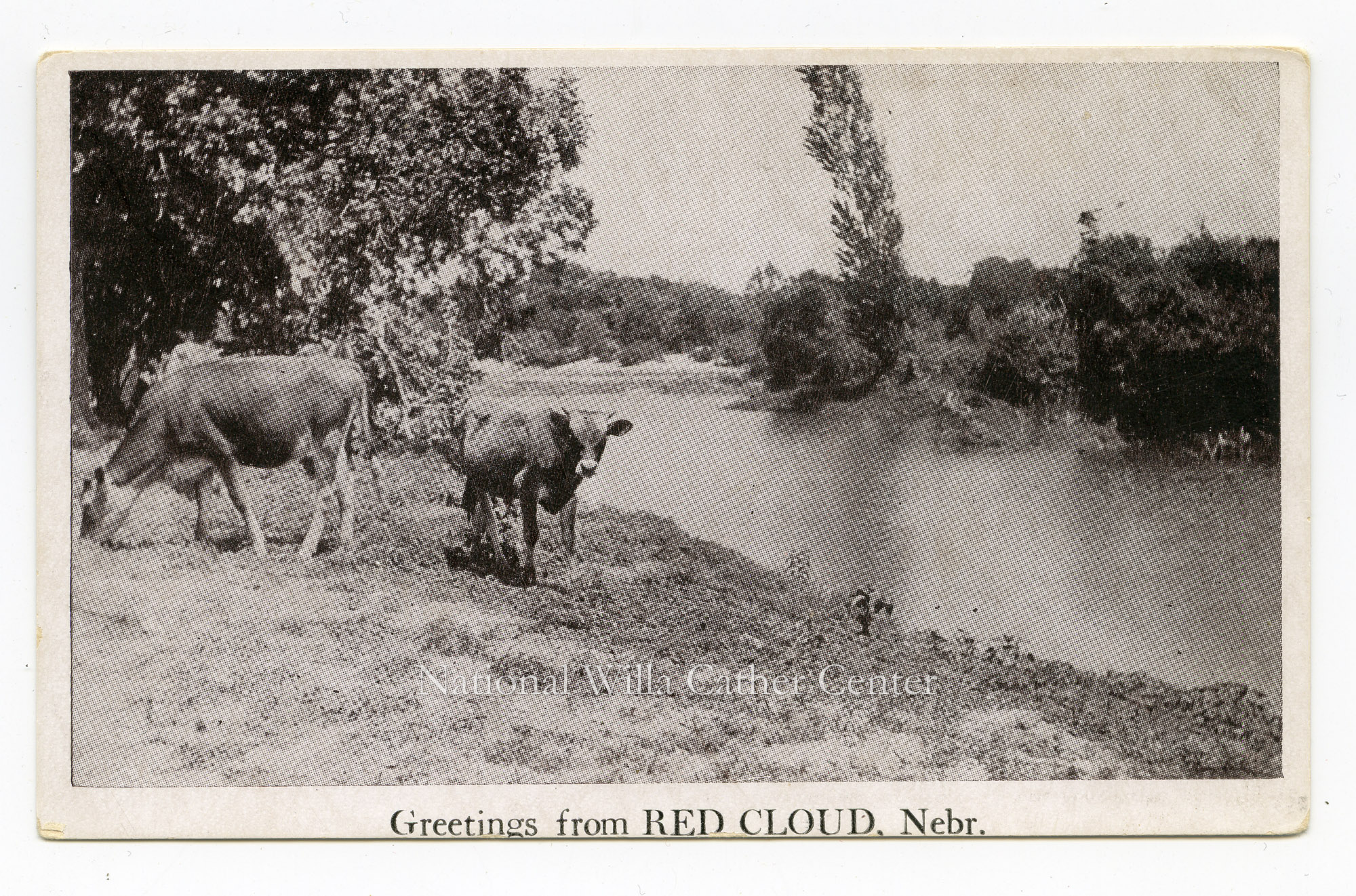 Image description is not available for PHO-264-798