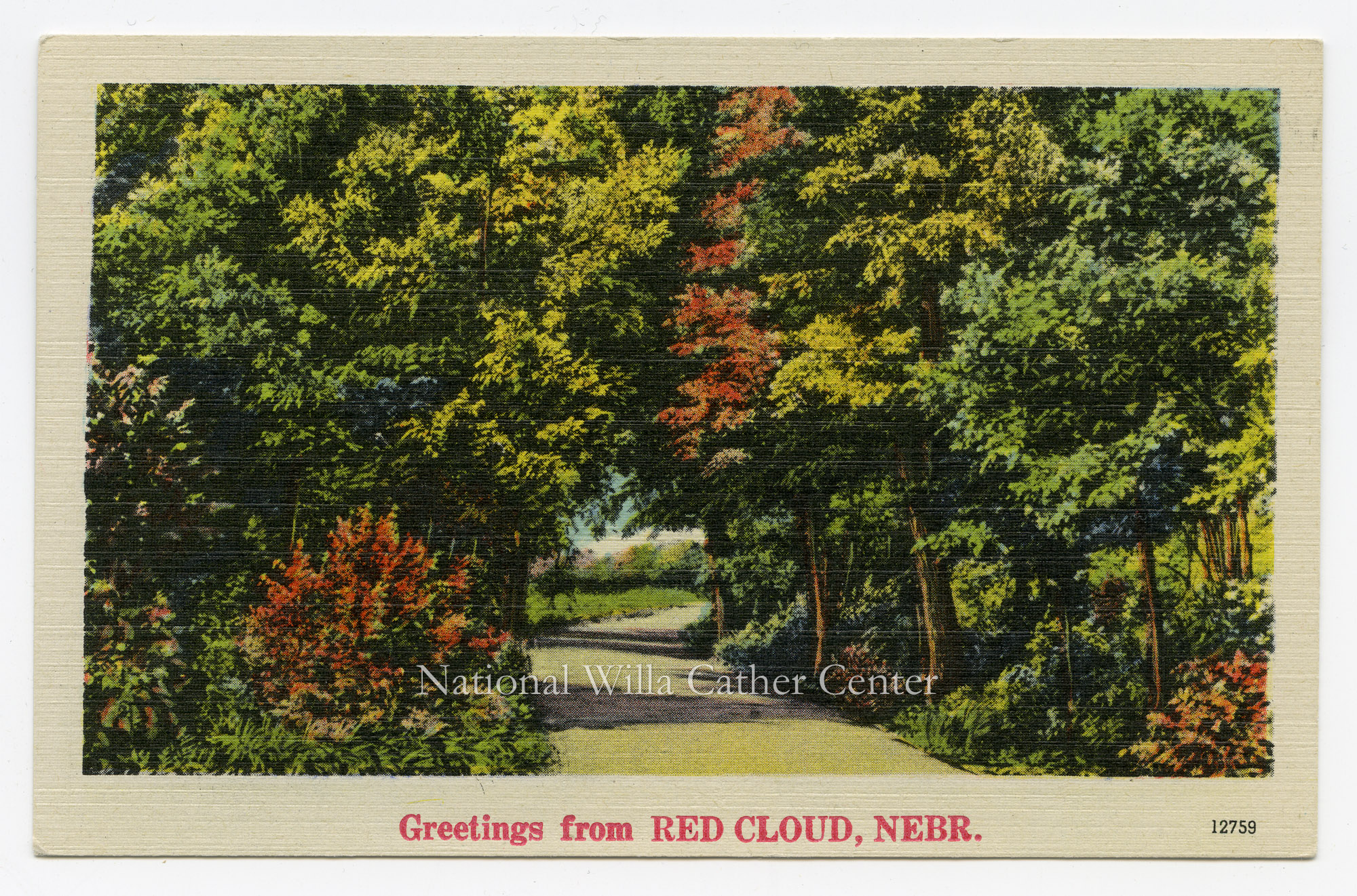 Image description is not available for PHO-264-800