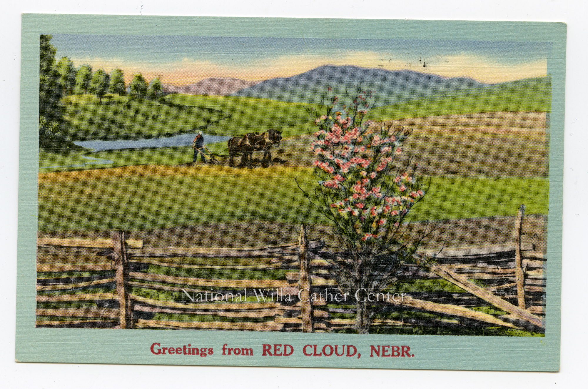 Image description is not available for PHO-264-802