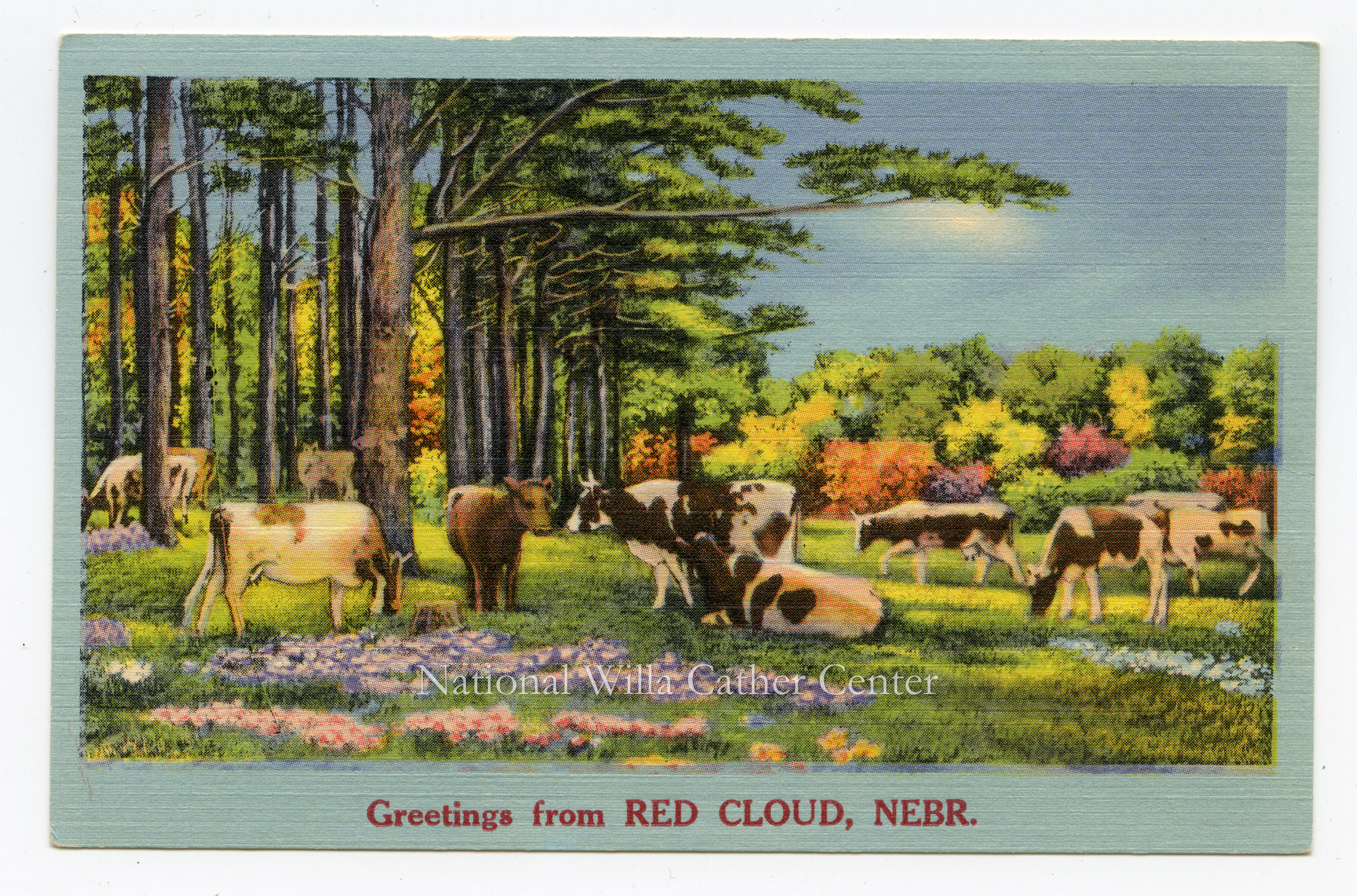 Image description is not available for PHO-264-803