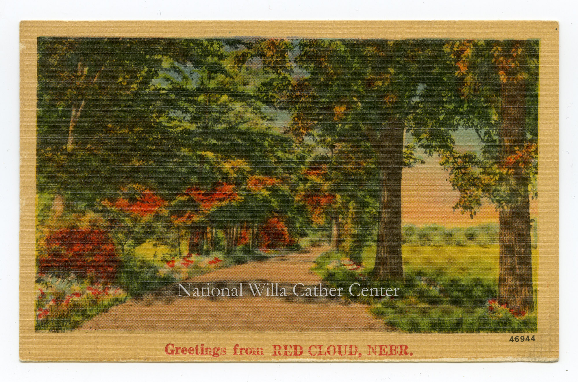 Image description is not available for PHO-264-804