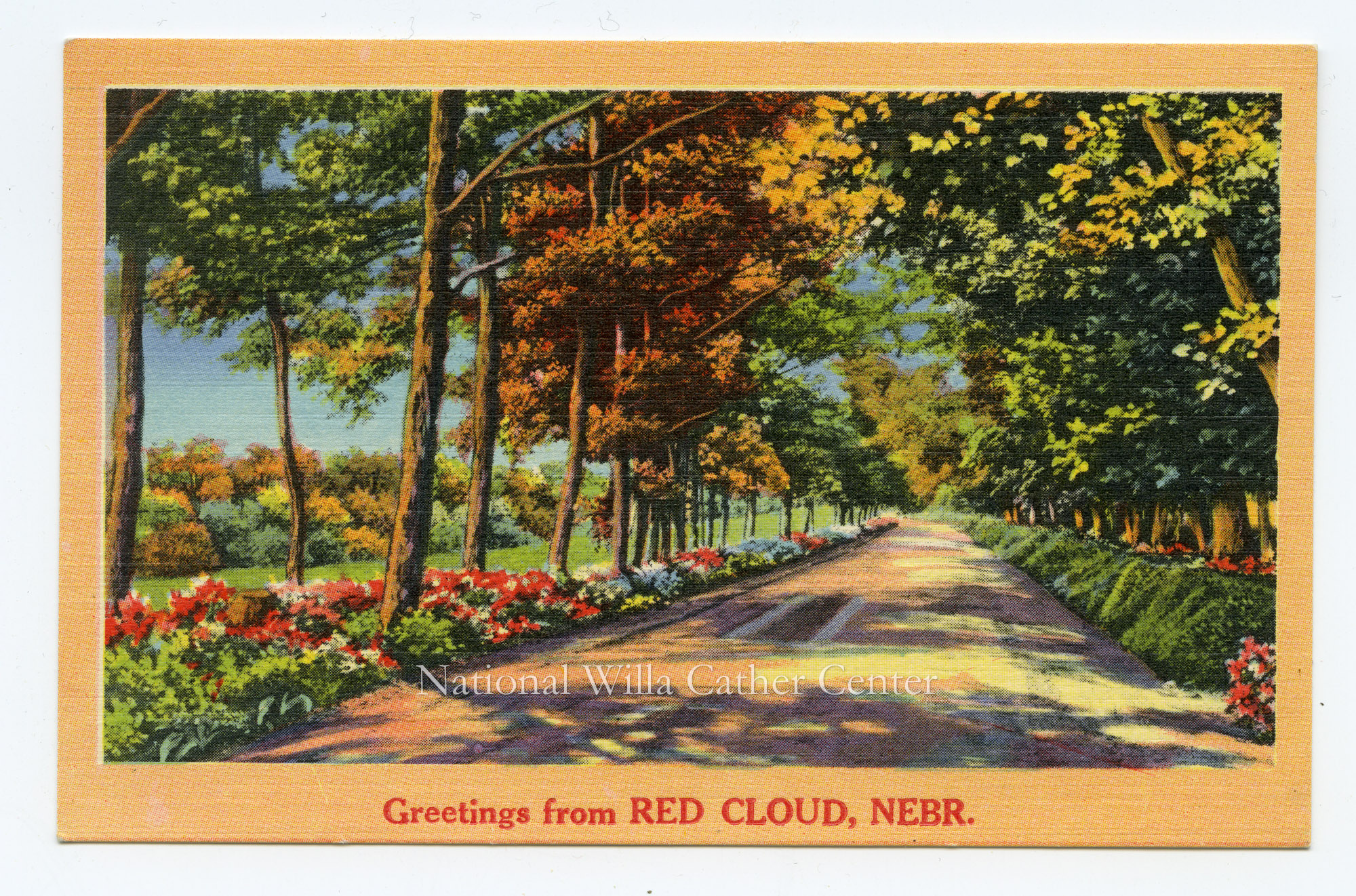 Image description is not available for PHO-264-805