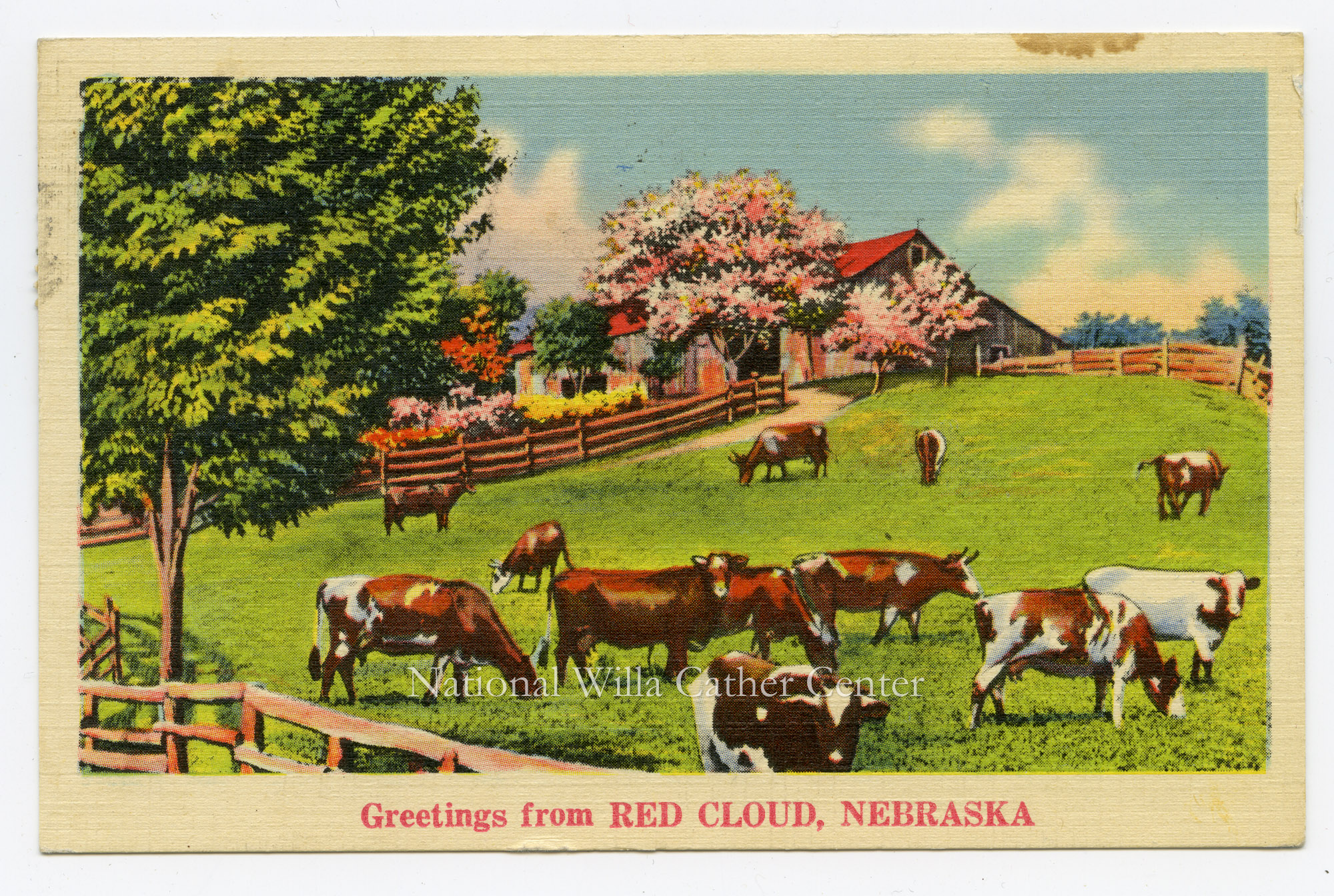 Image description is not available for PHO-264-815