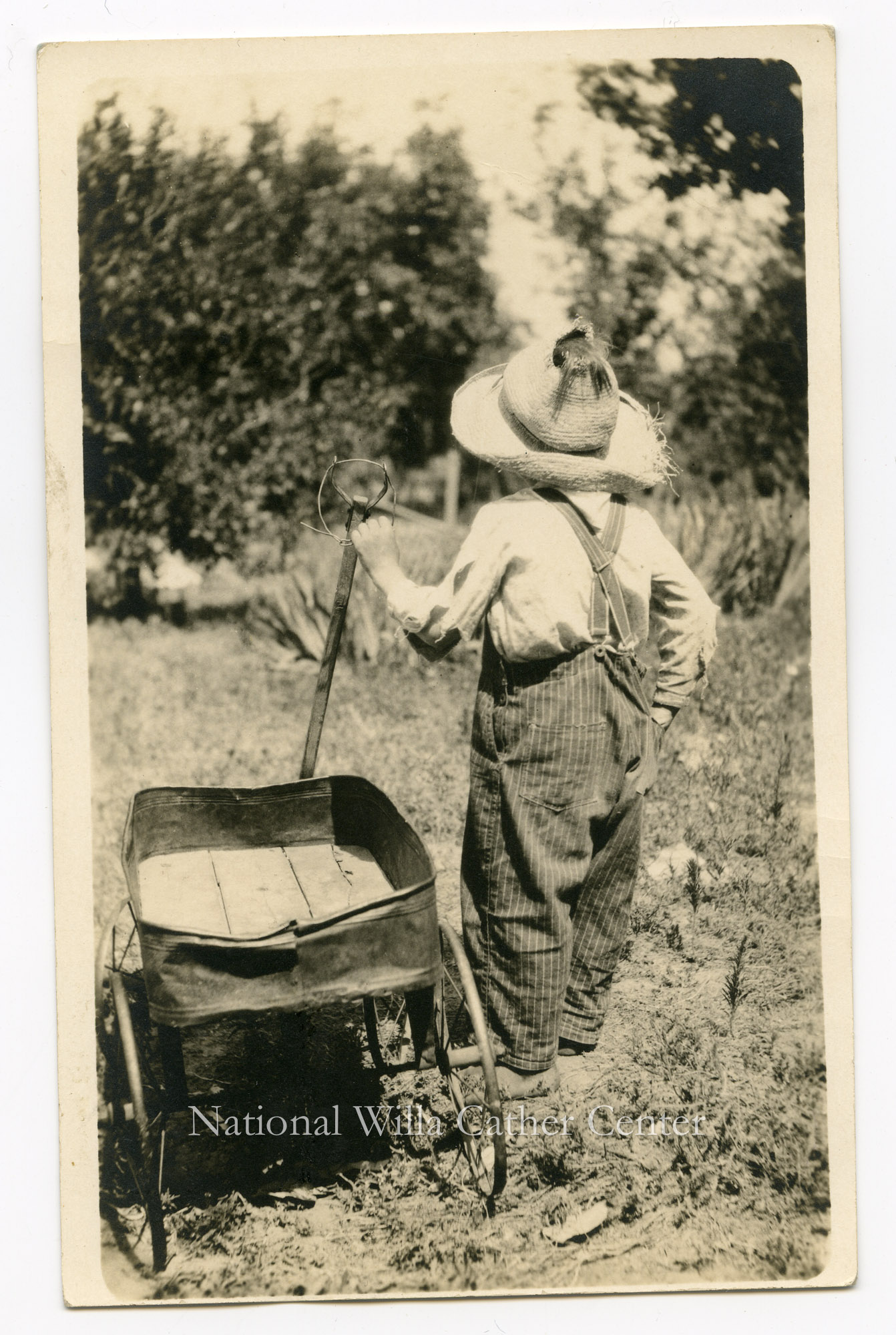 Image description is not available for PHO-264-832