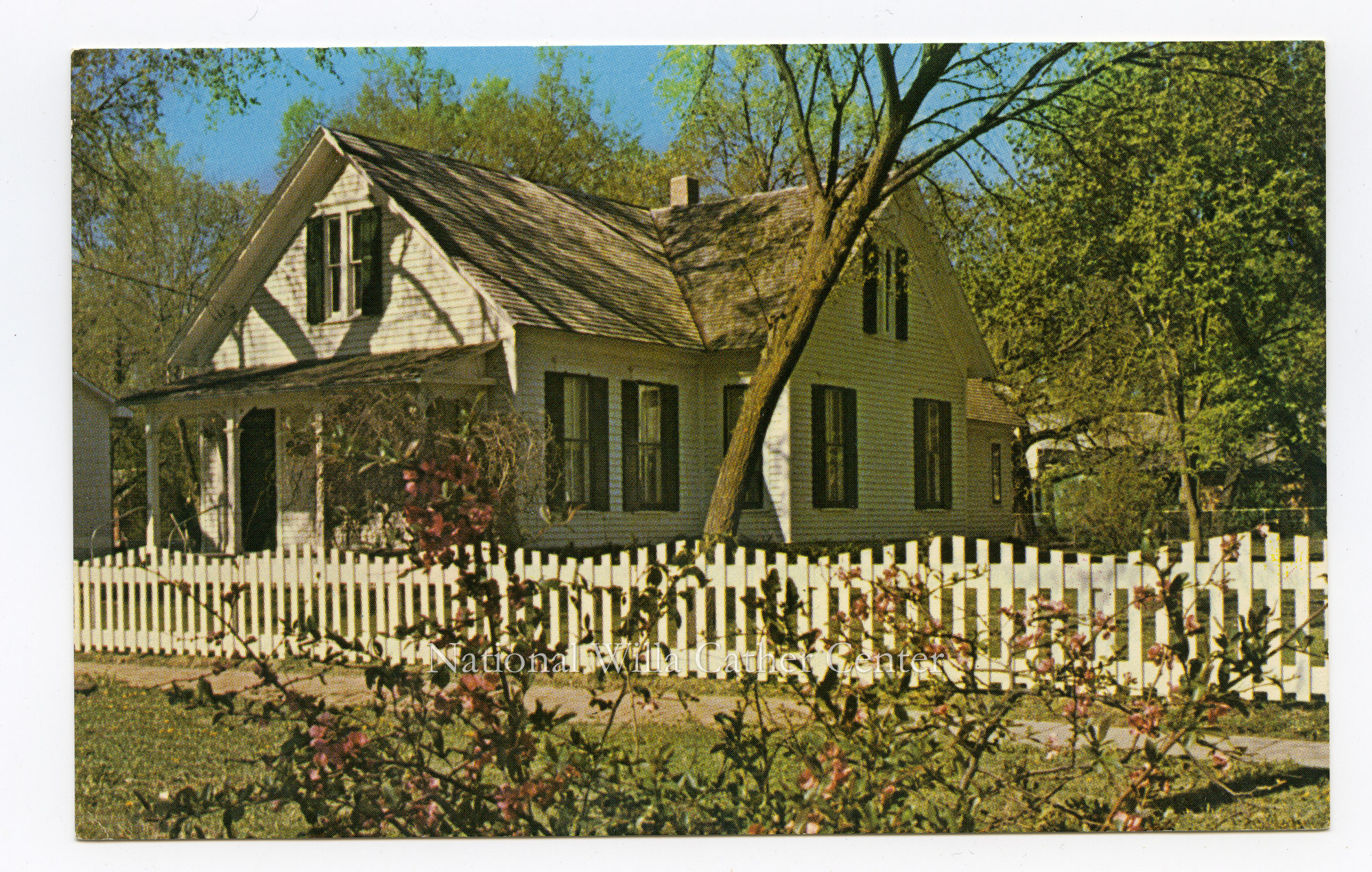 Image description is not available for PHO-264-863