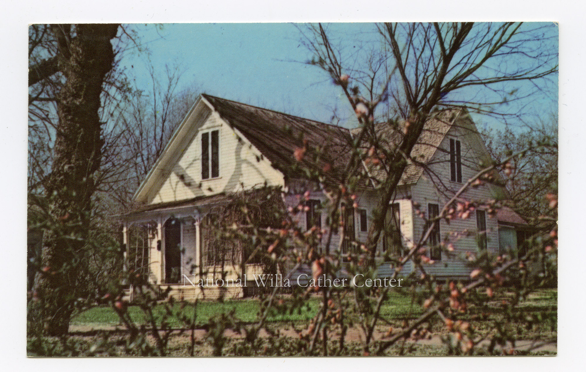 Image description is not available for PHO-264-864