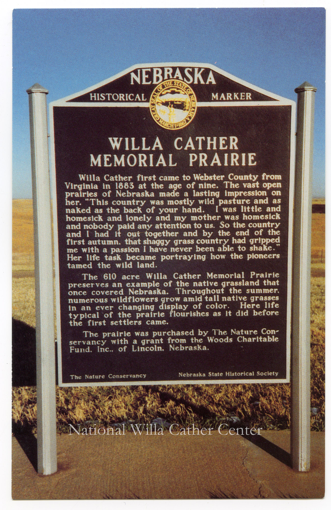 Image description is not available for PHO-264-888