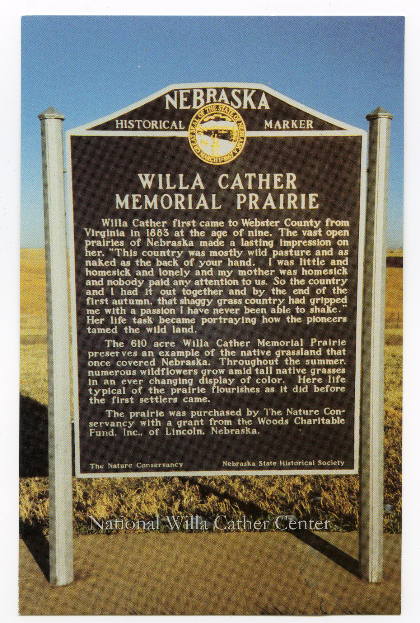 Image description is not available for PHO-264-893