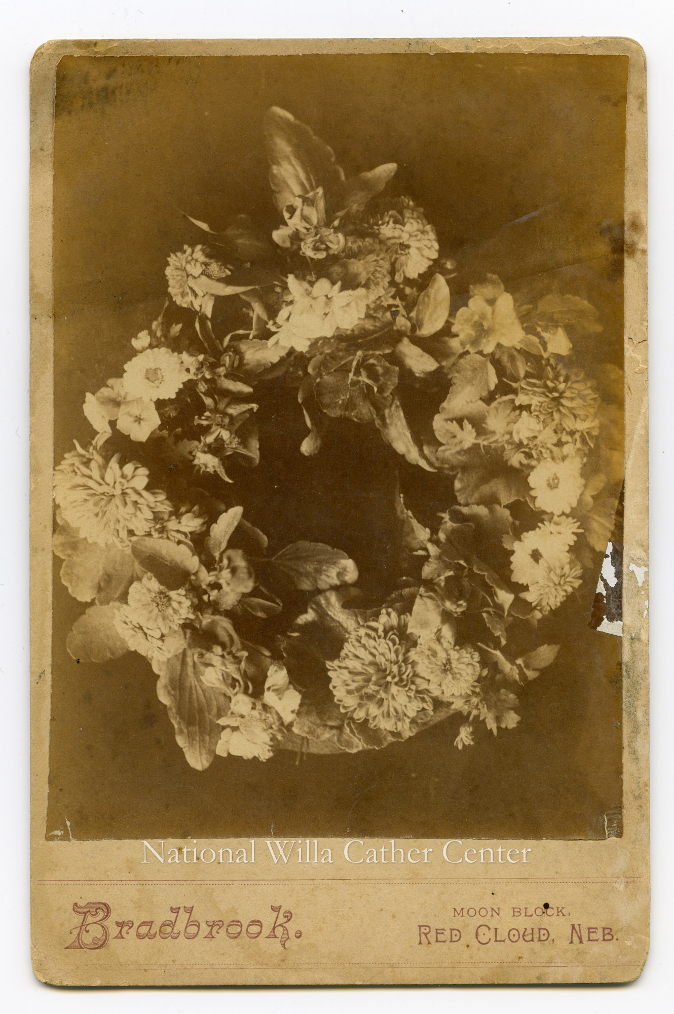 Image description is not available for PHO-264-952