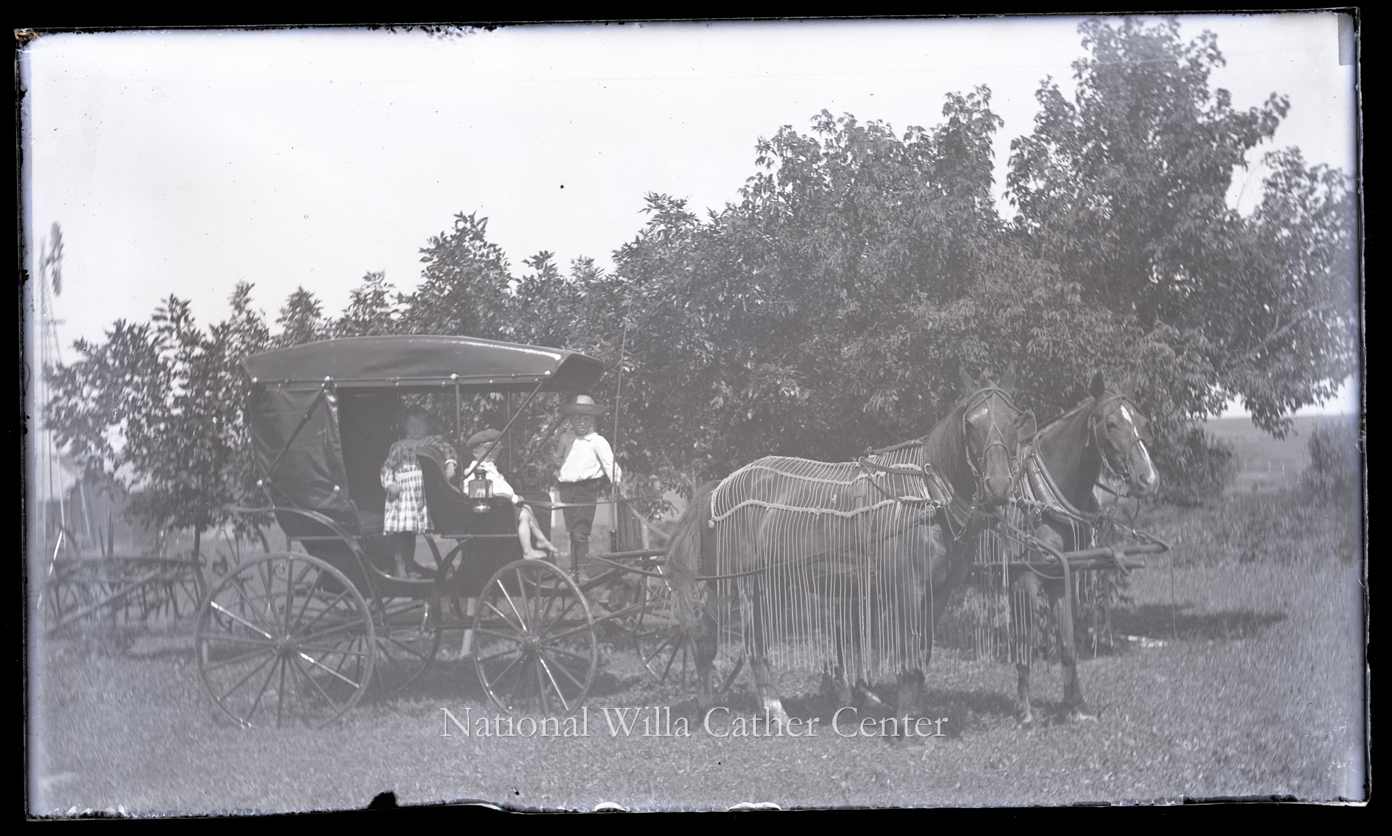 Image description is not available for PHO-264-1012