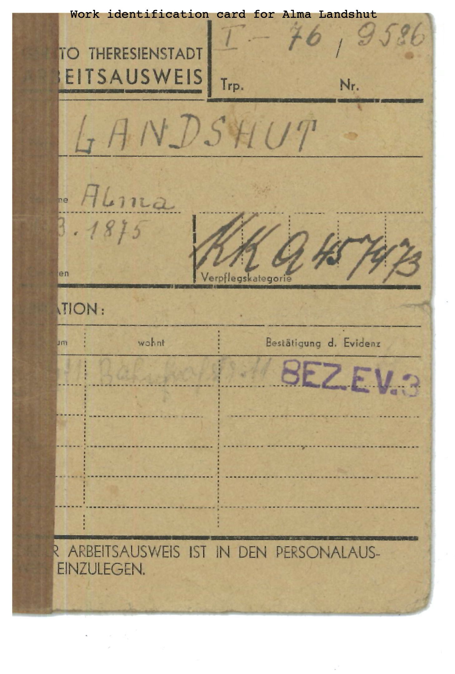 RG.48, Vera Laroche Papers - RG-48.03, Documents from Theresienstadt ghetto