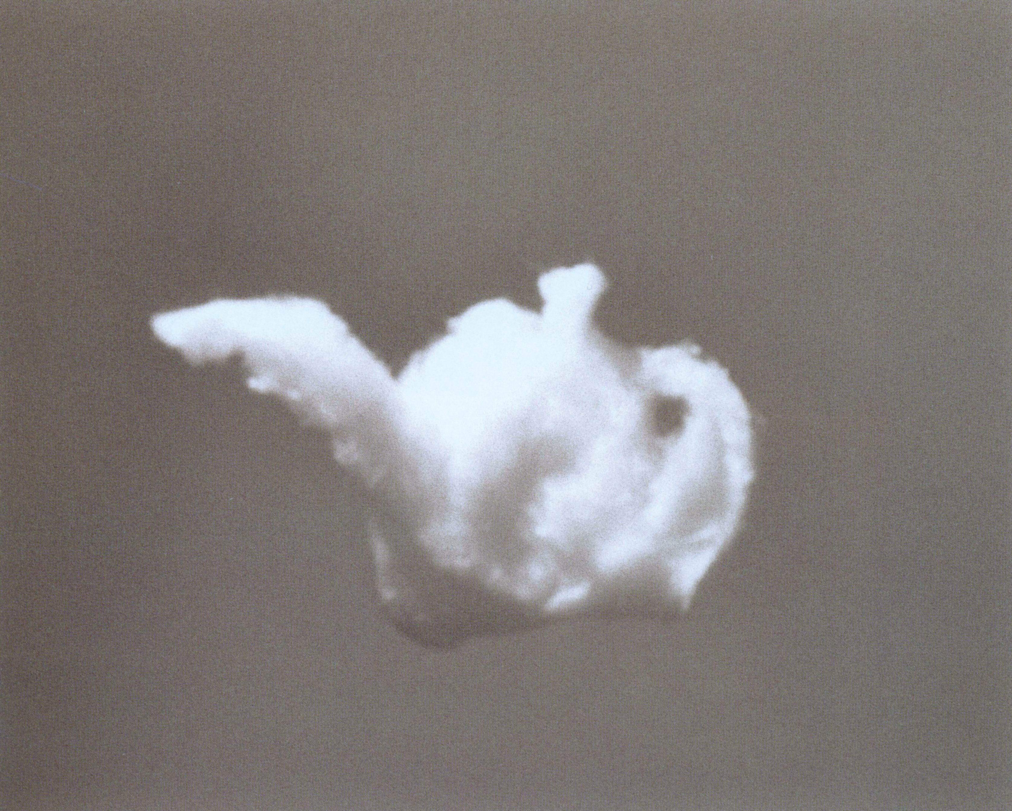 Image description is not available for 262.539.381