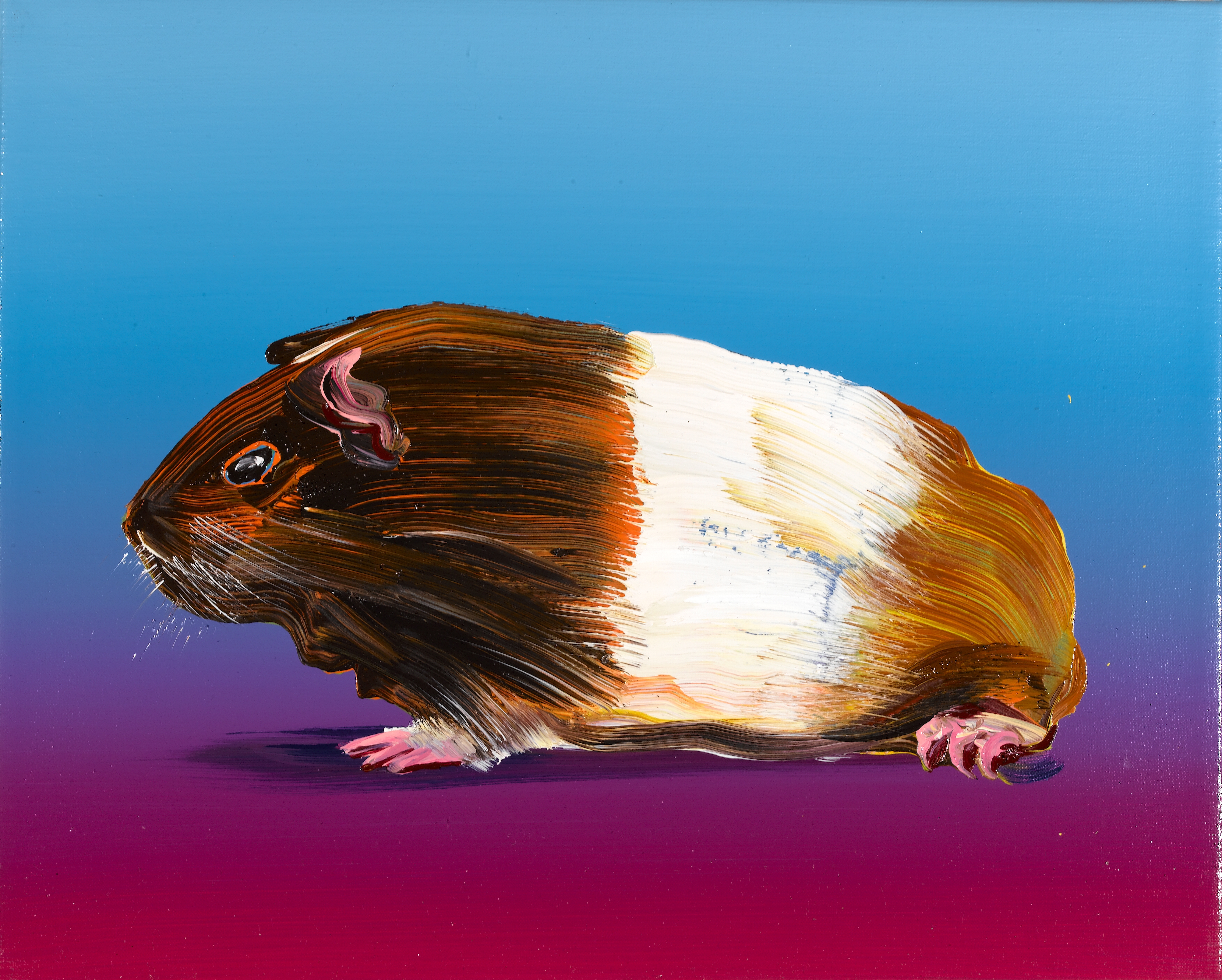 Volker, Cornelius