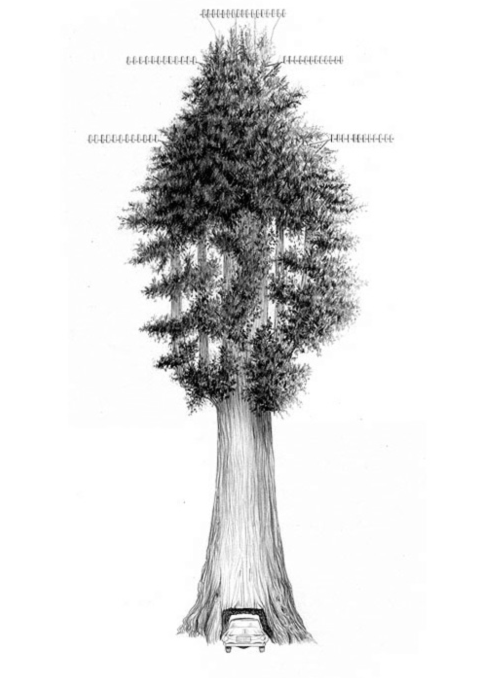 Smolinski, Joseph