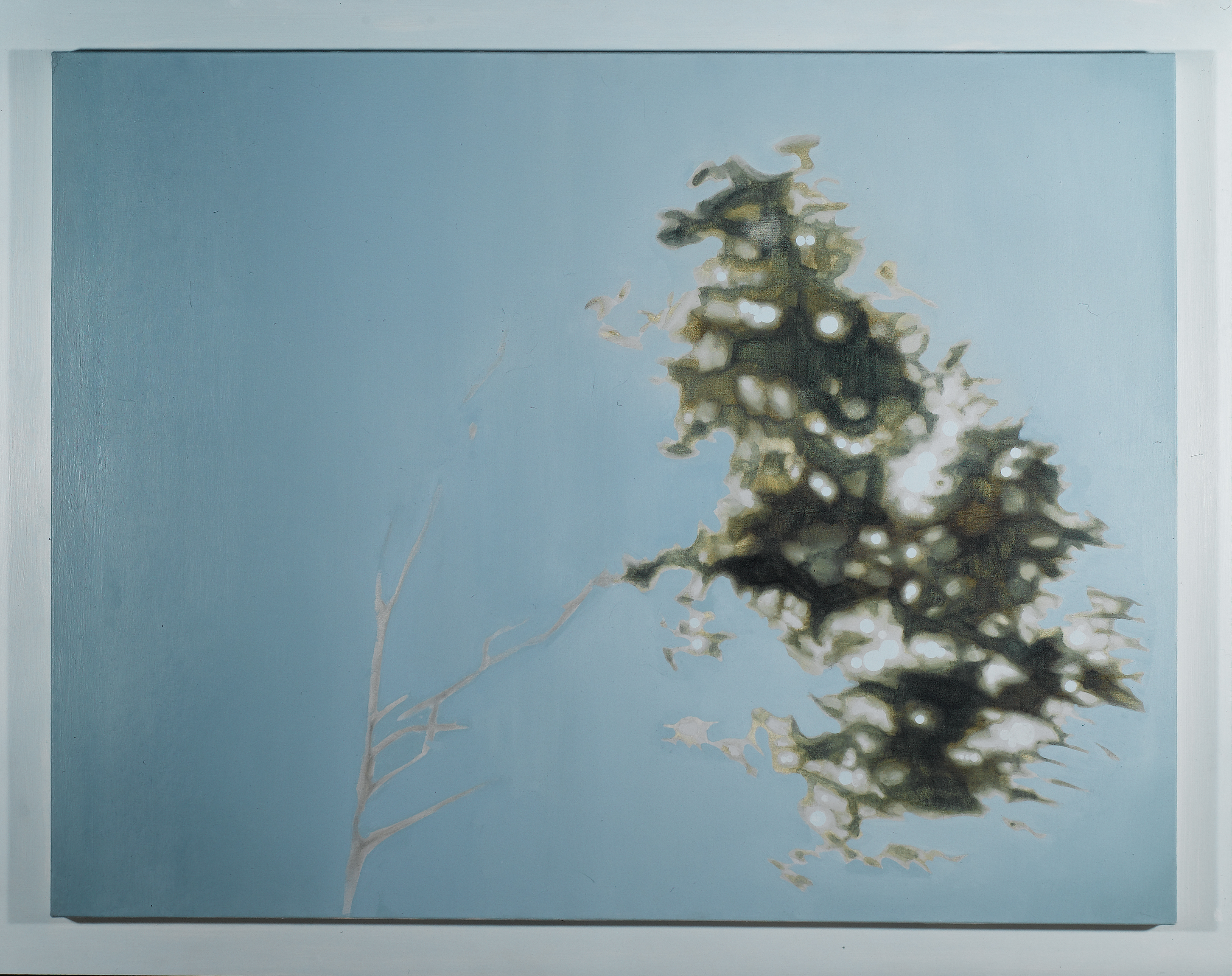 Rayne, Blake (born 1969-)