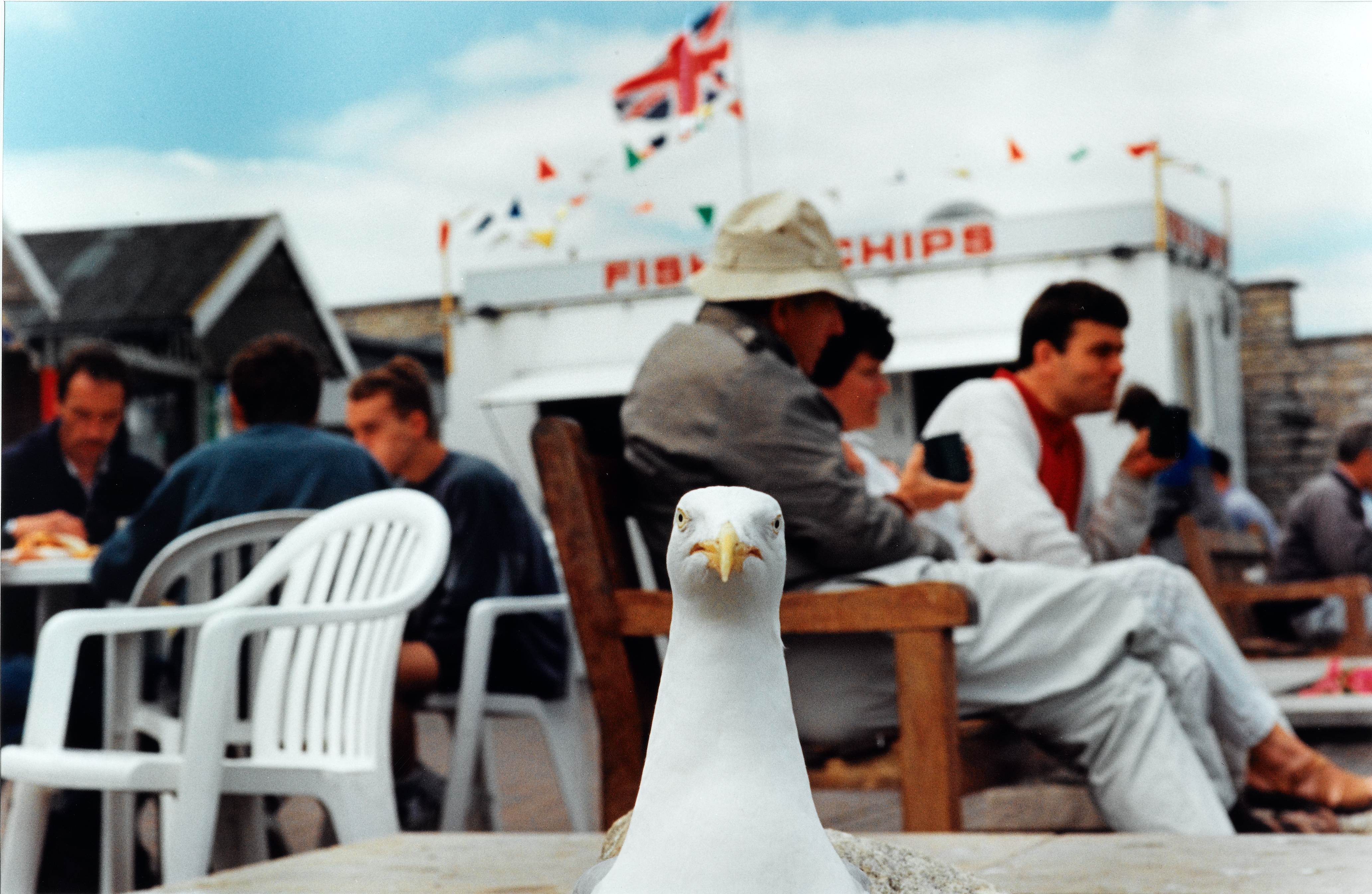 Parr, Martin