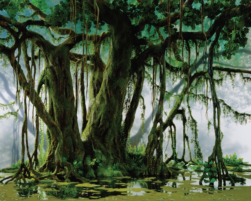 Massard, Didier (born 1953-)