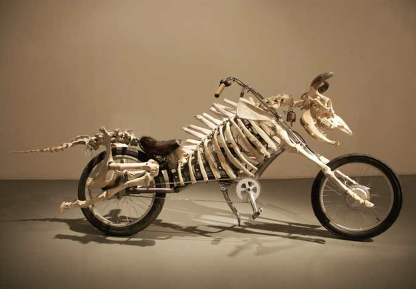 West Prize 2011