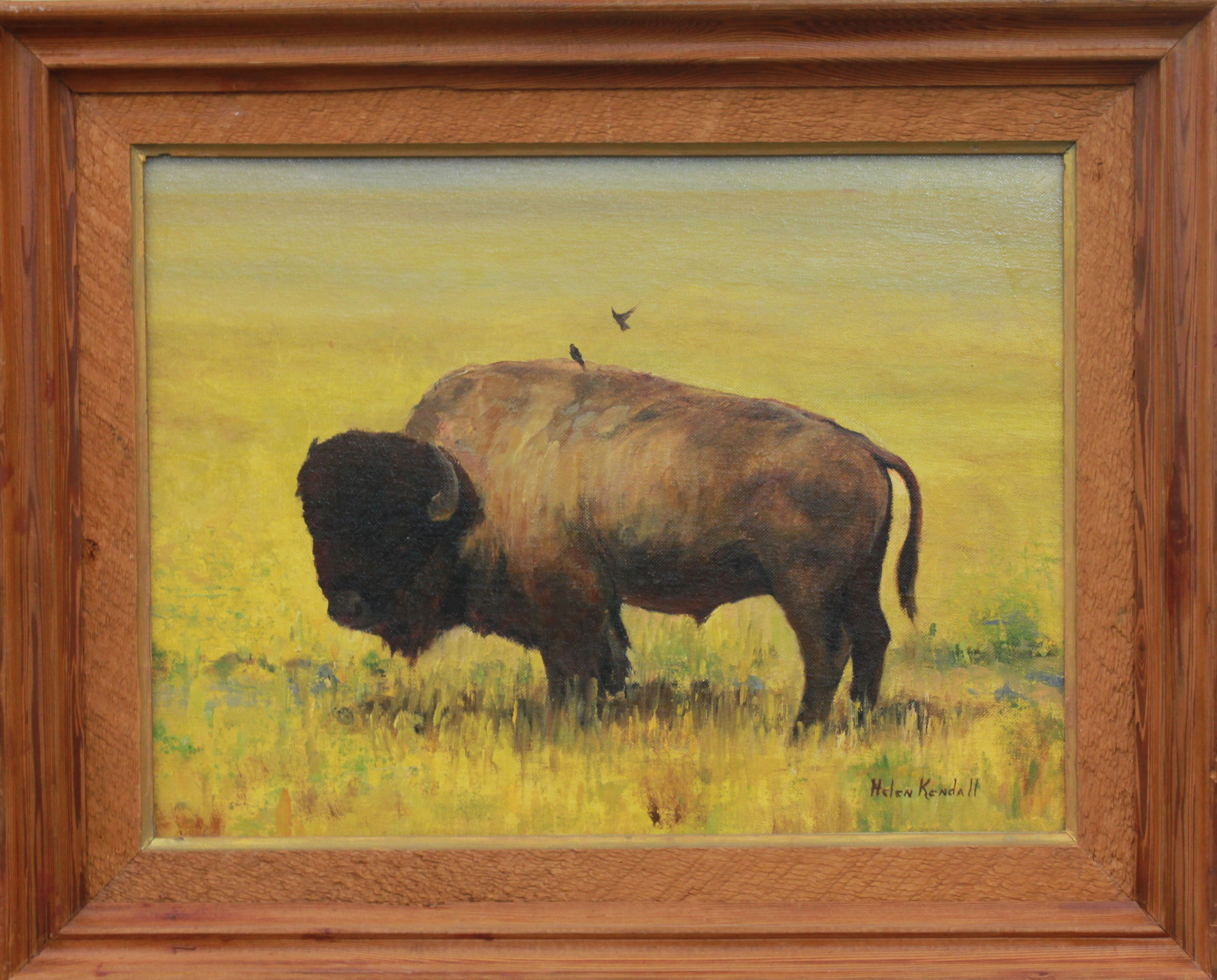 "Bison-Americana" by Helen Kendall. Oil painting of a buffalo in the center of a field of yellow grass. One bird sits on the buffalo's back and another is about to land next to it. 